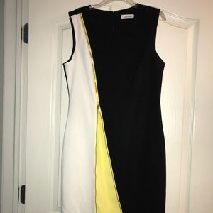 Calvin Klein Dress